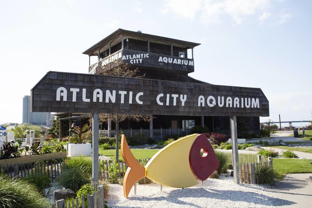Acuario de Atlantic City